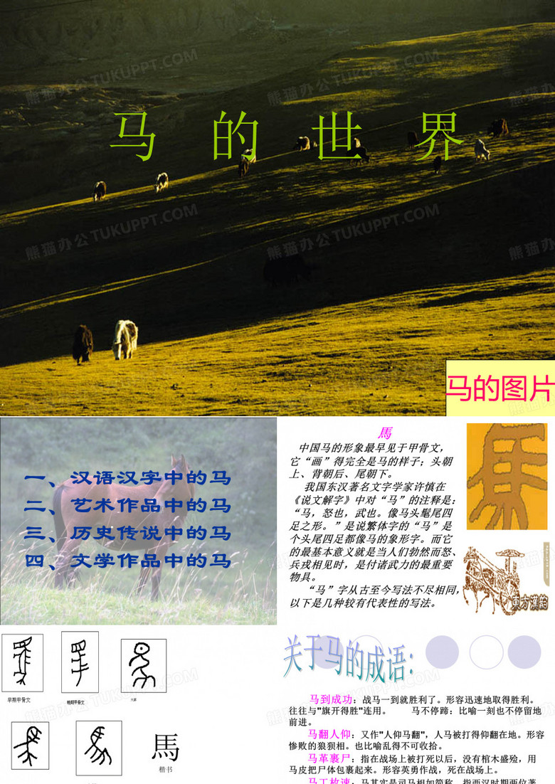 关于马的成语马的图片