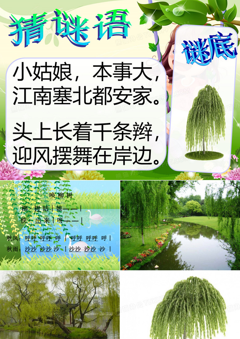 柳树姑娘ppt