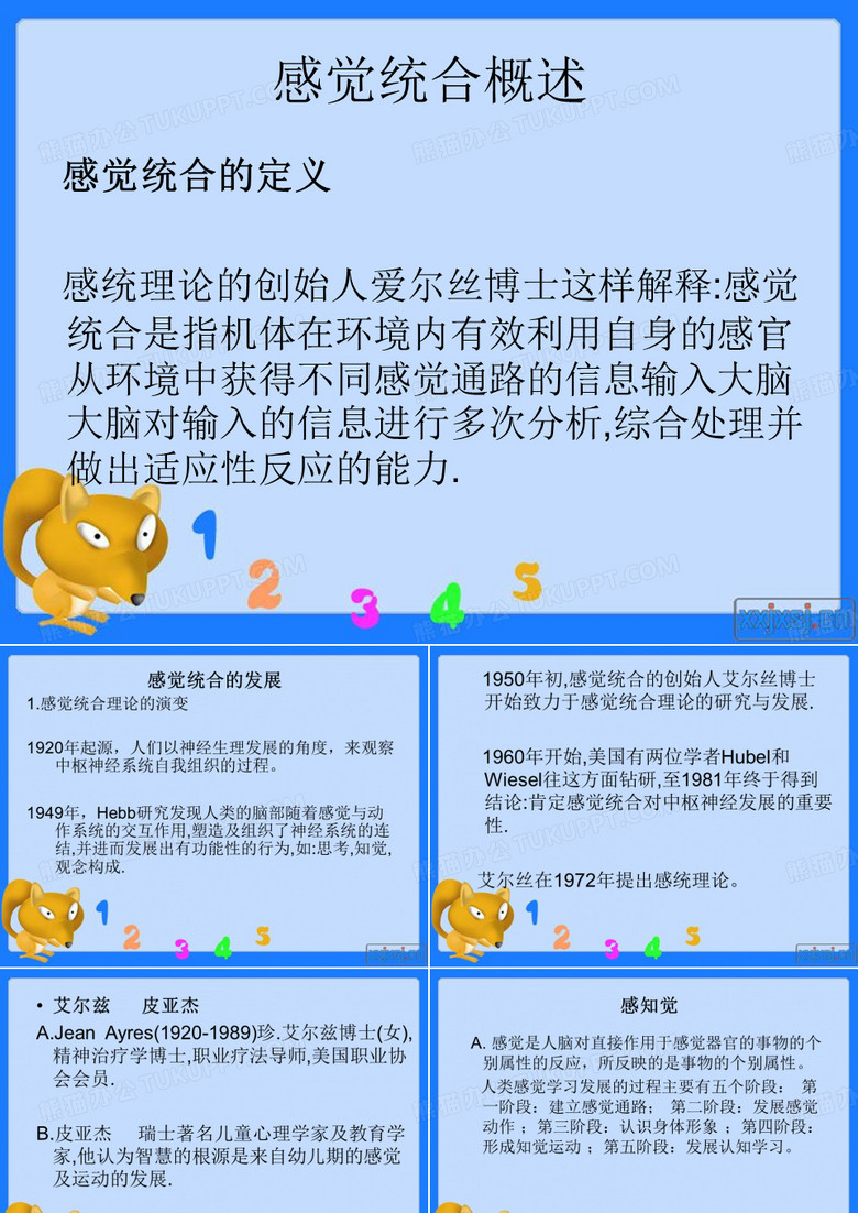 感觉统合教育