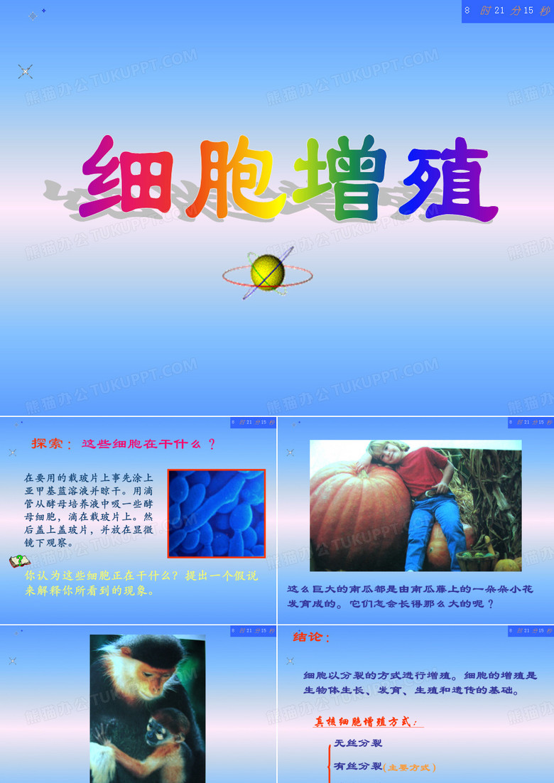 细胞增殖