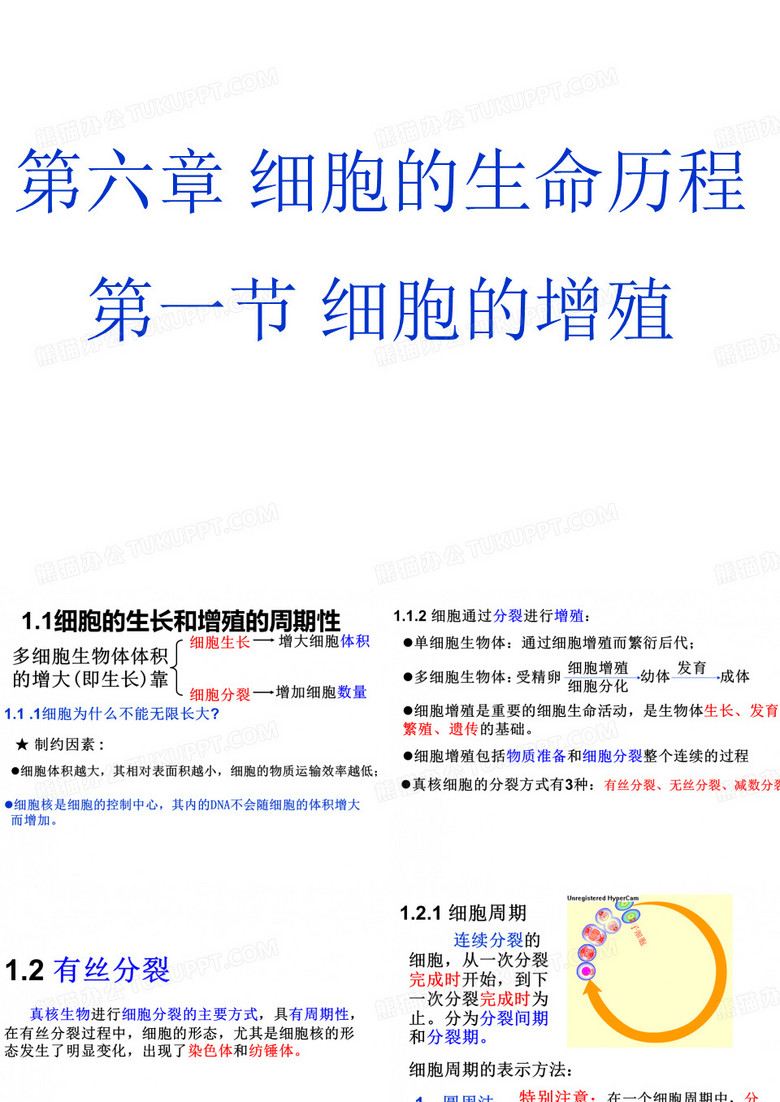 细胞增殖