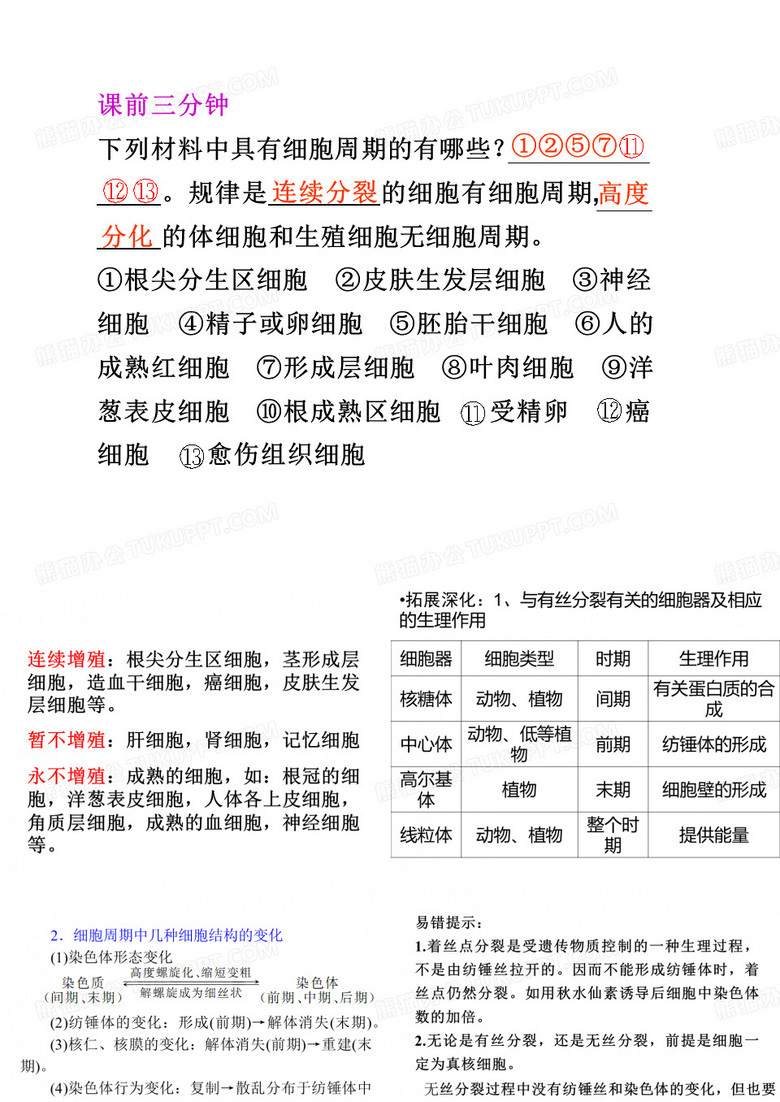 细胞增殖