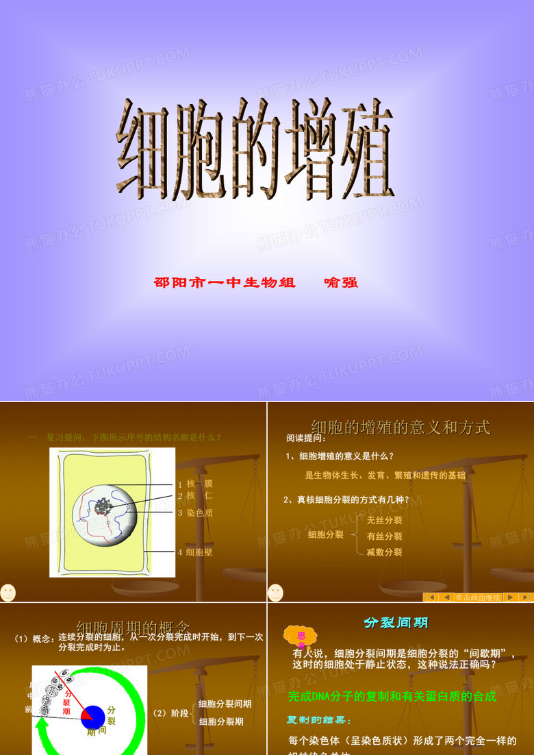 细胞的增殖
