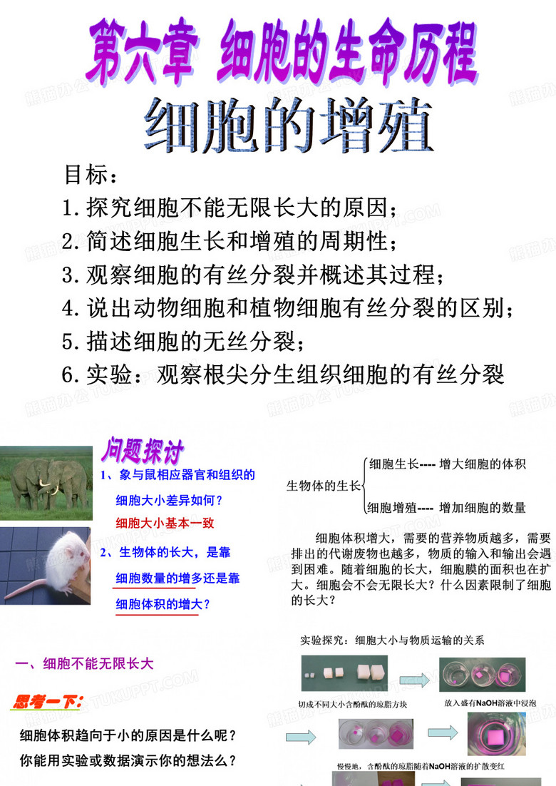 细胞的增殖