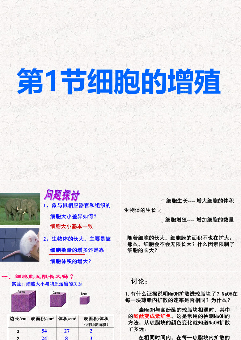 细胞的增殖