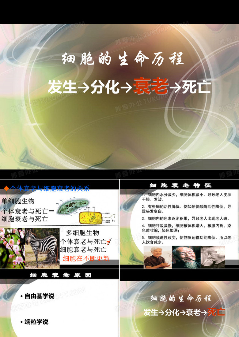 细胞衰老