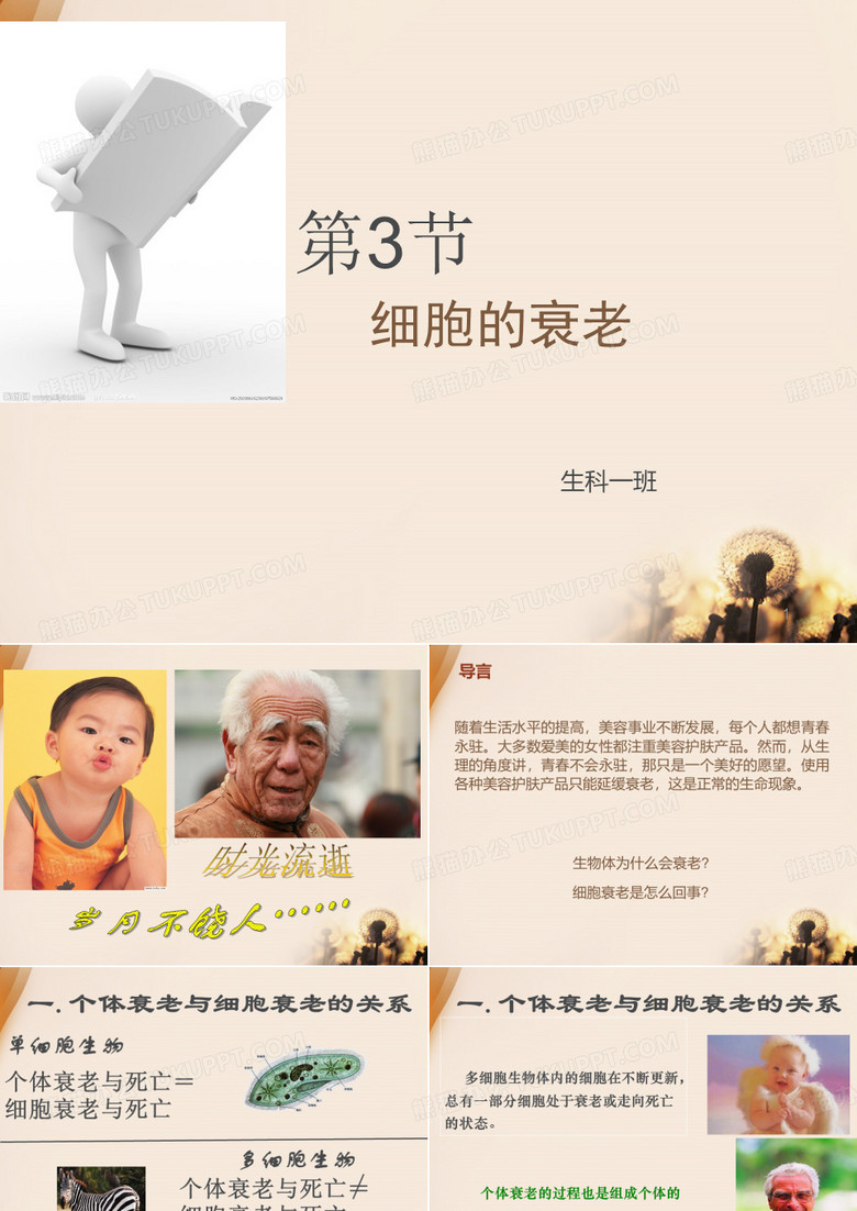 细胞的衰老