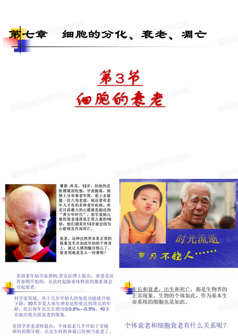 细胞衰老