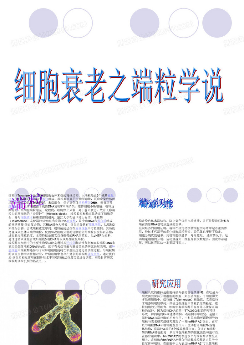 细胞衰老