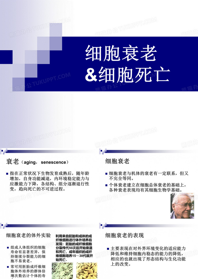 细胞衰老细胞死亡