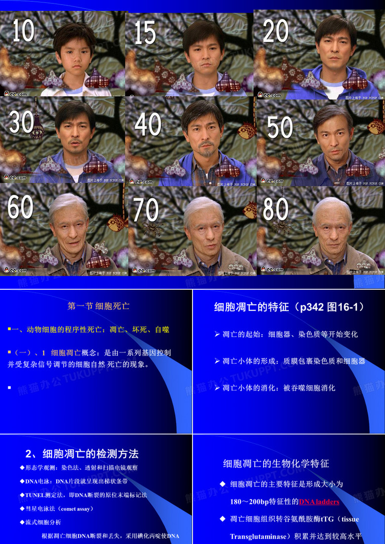 细胞死亡与细胞衰老