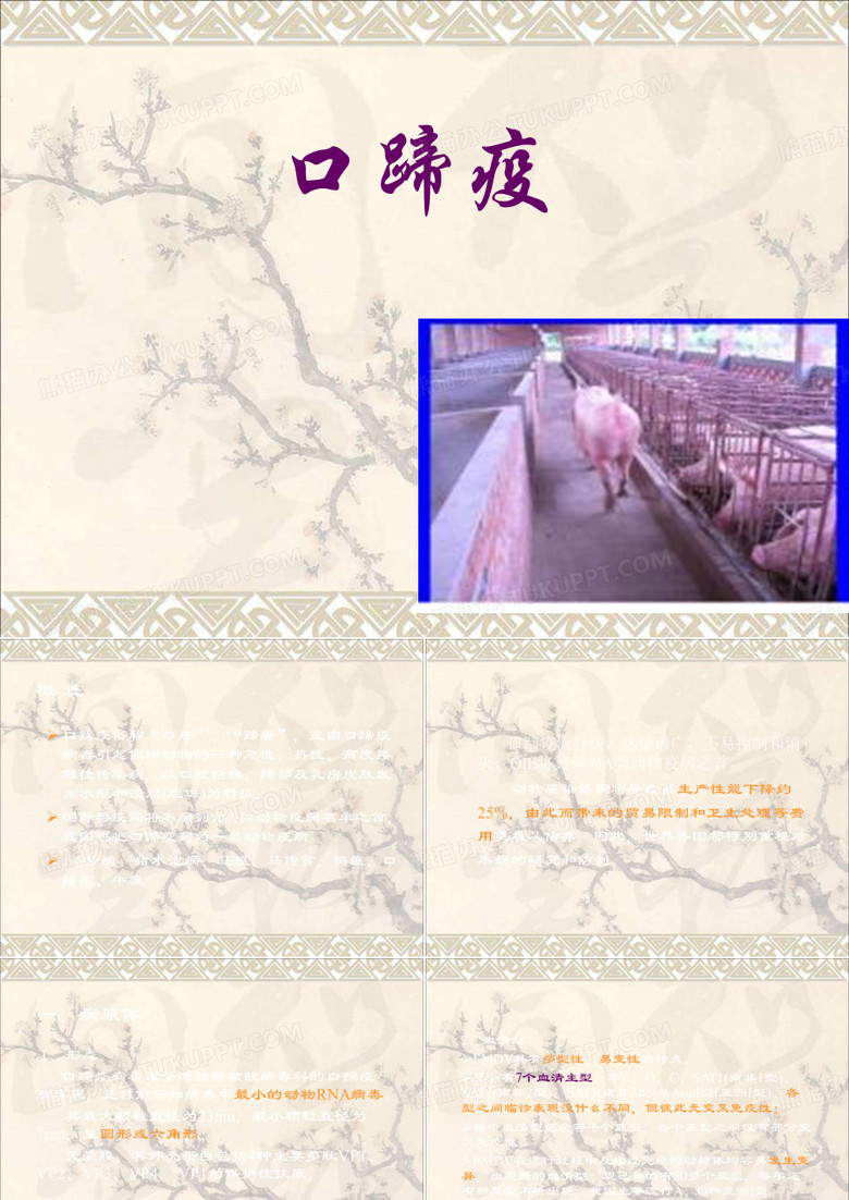 口蹄疫