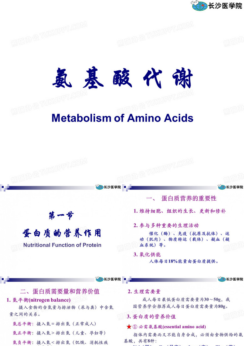 氨基酸代谢