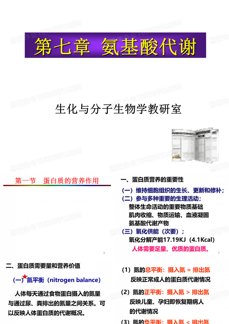 氨基酸代谢