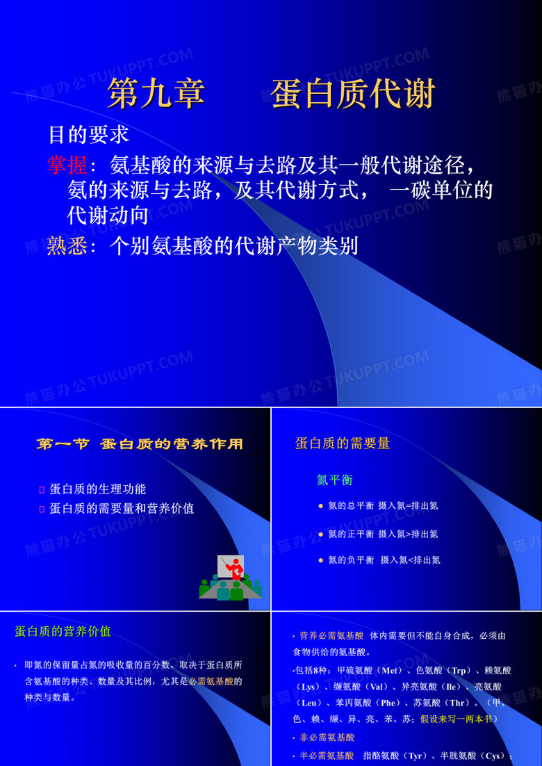 氨基酸的代谢
