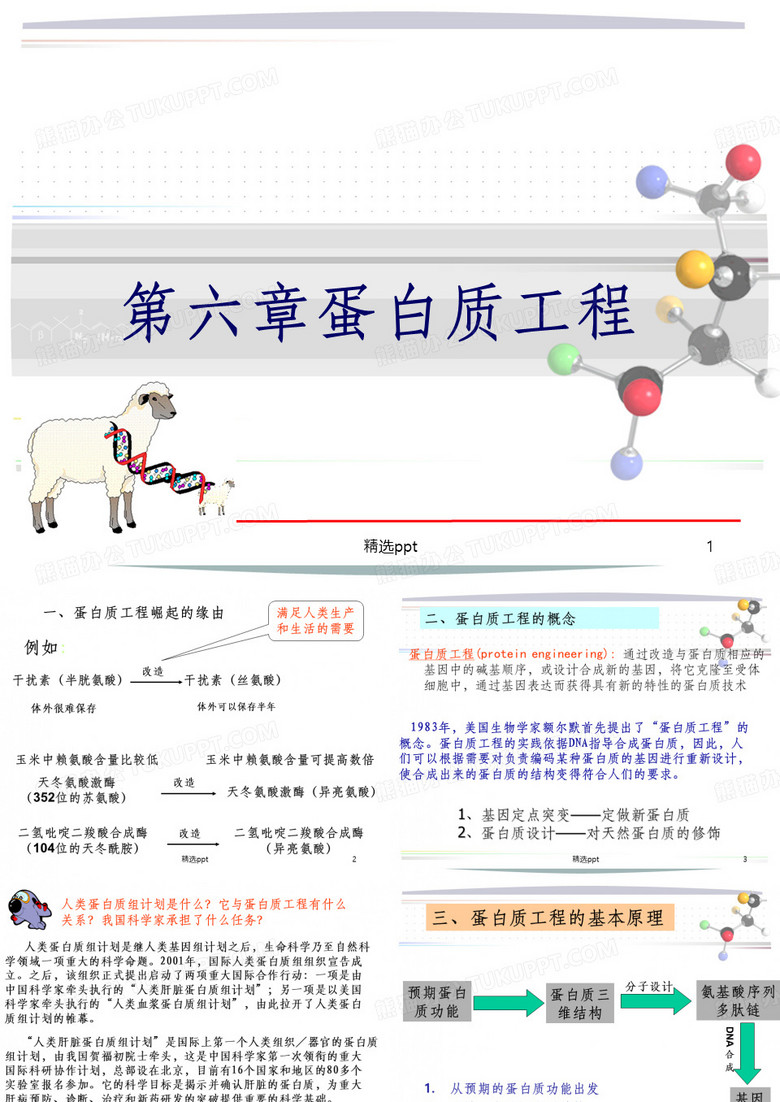 蛋白质工程