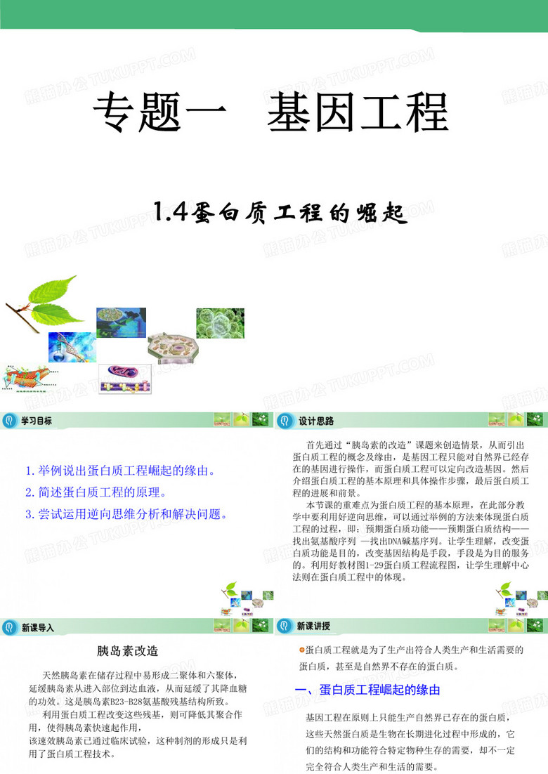 蛋白质工程