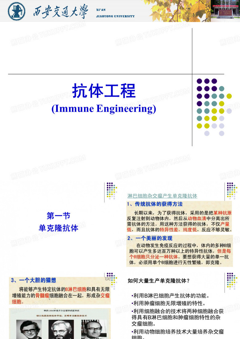 抗体工程,蛋白质工程