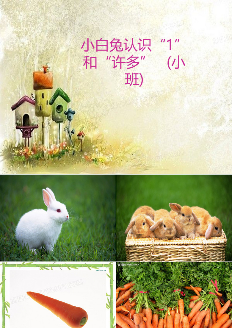 认识1和许多