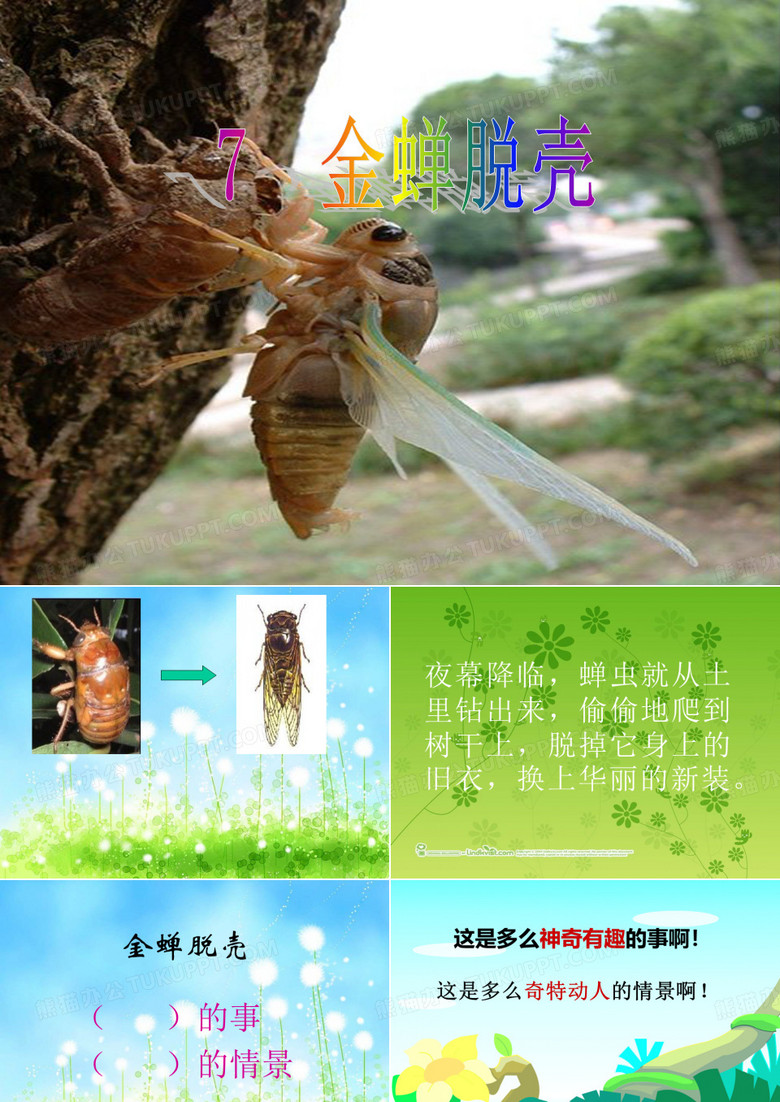《金蝉脱壳》课件