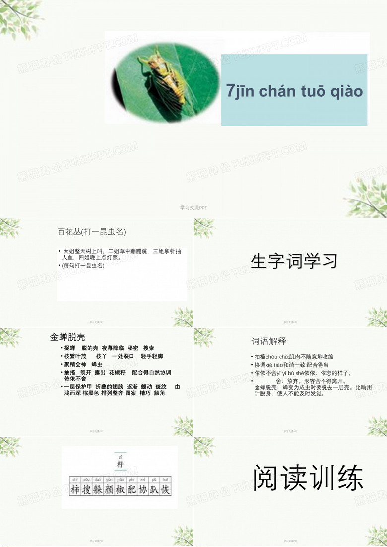 金蝉脱壳课件