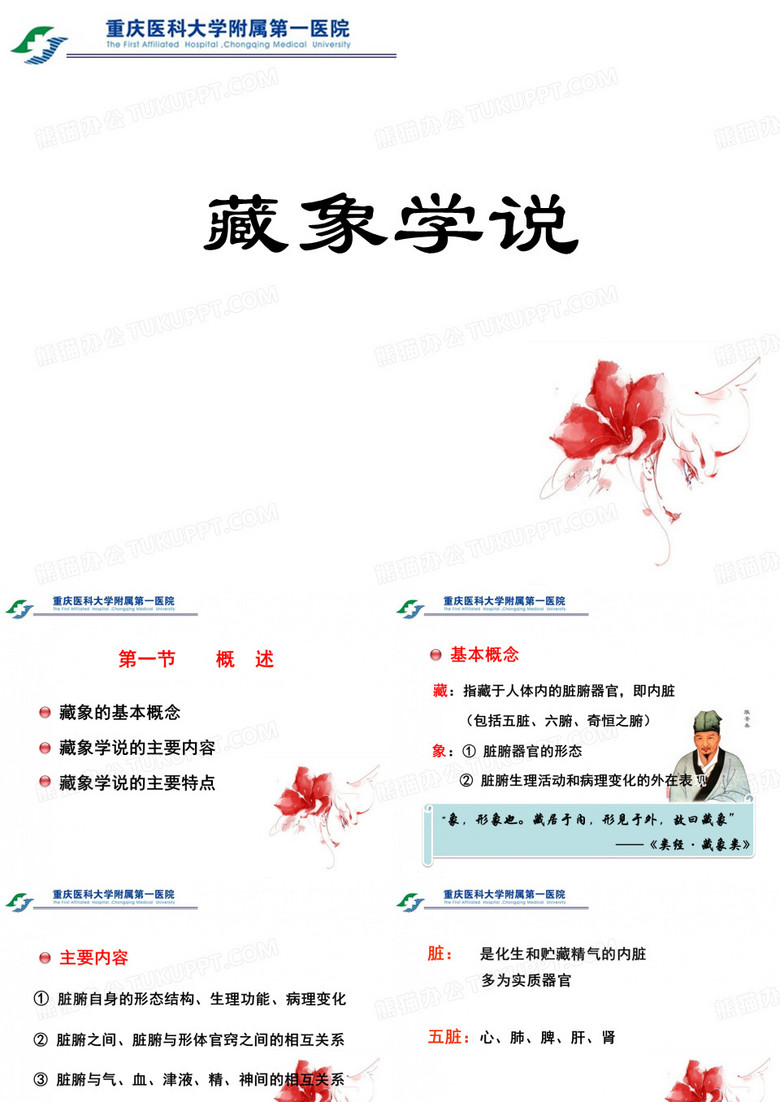 藏象学说