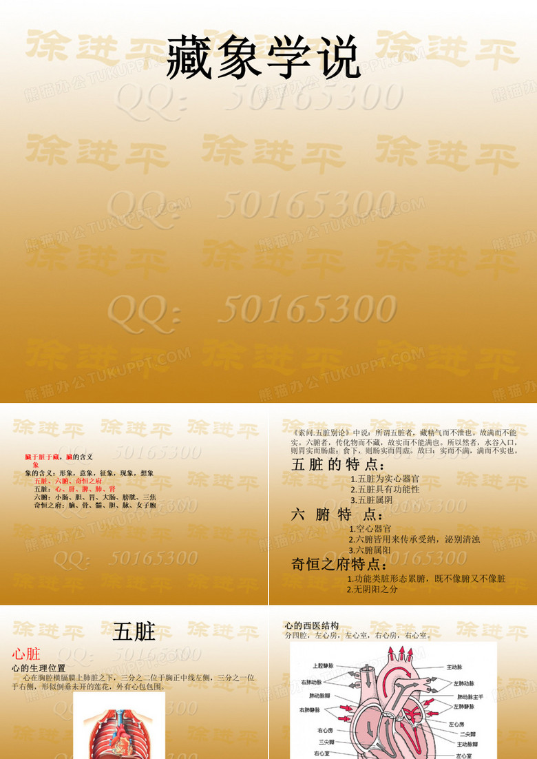 藏象学说