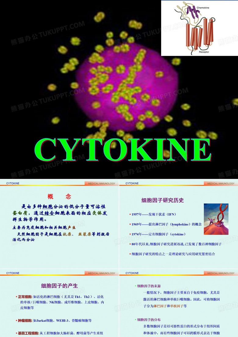细胞因子
