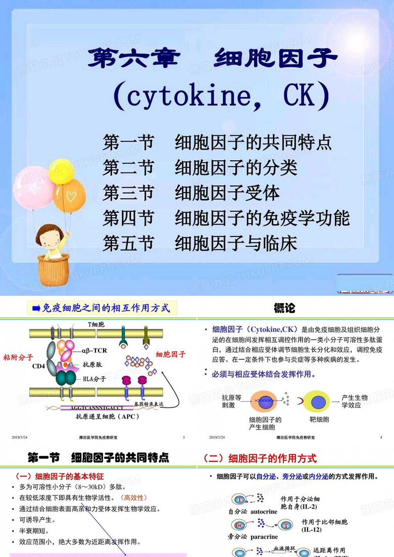细胞因子