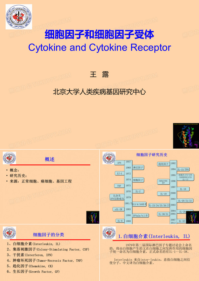 细胞因子和细胞因子受体ppt课件
