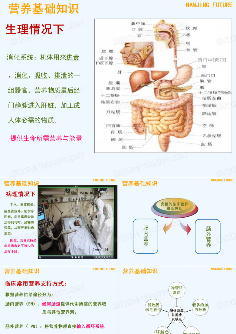 肠管(鼻肠管)