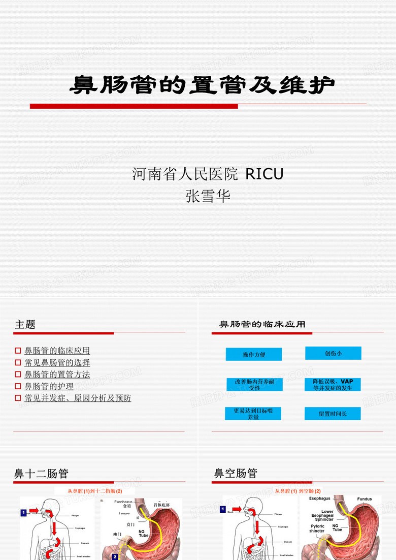鼻肠管的护理