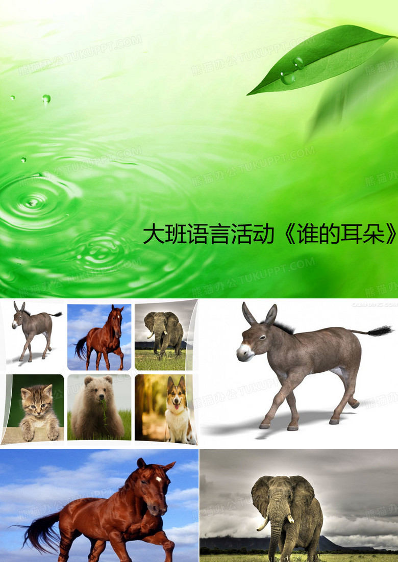 谁的耳朵