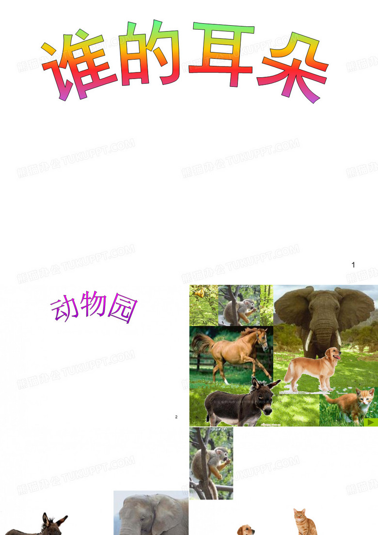 课件《谁的耳朵》ppt课件
