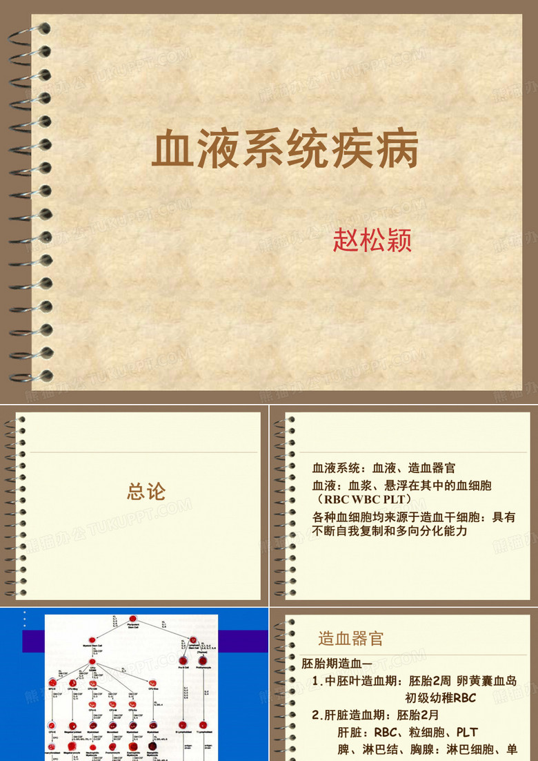 贫血课件