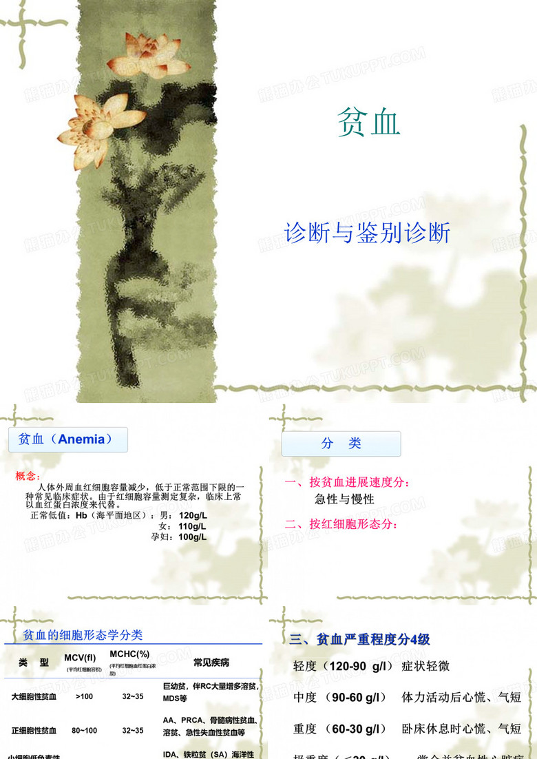 贫血课件ppt