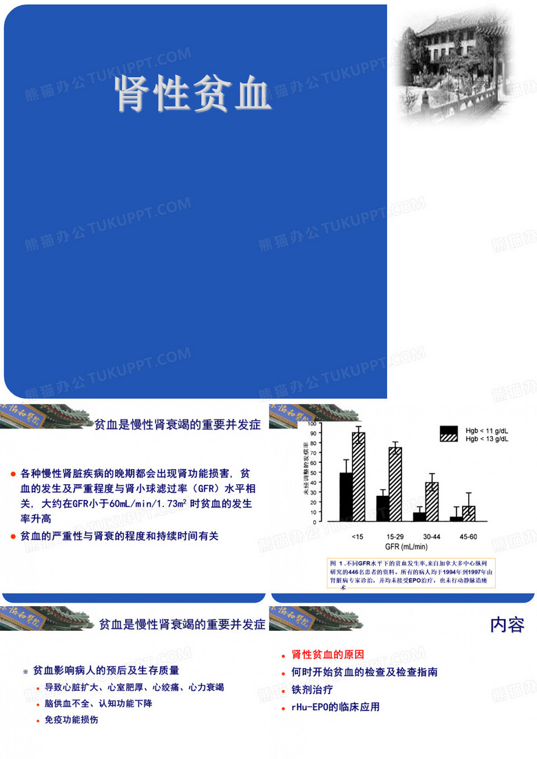 肾性贫血课件