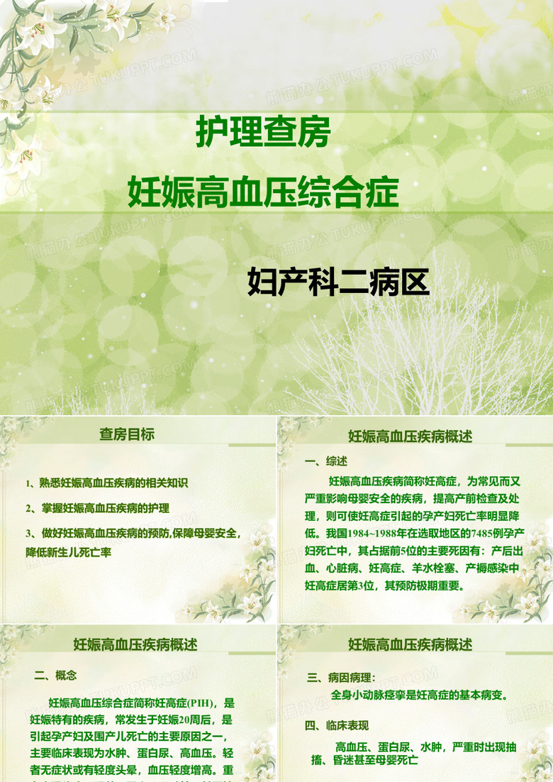 护理查房妊高症