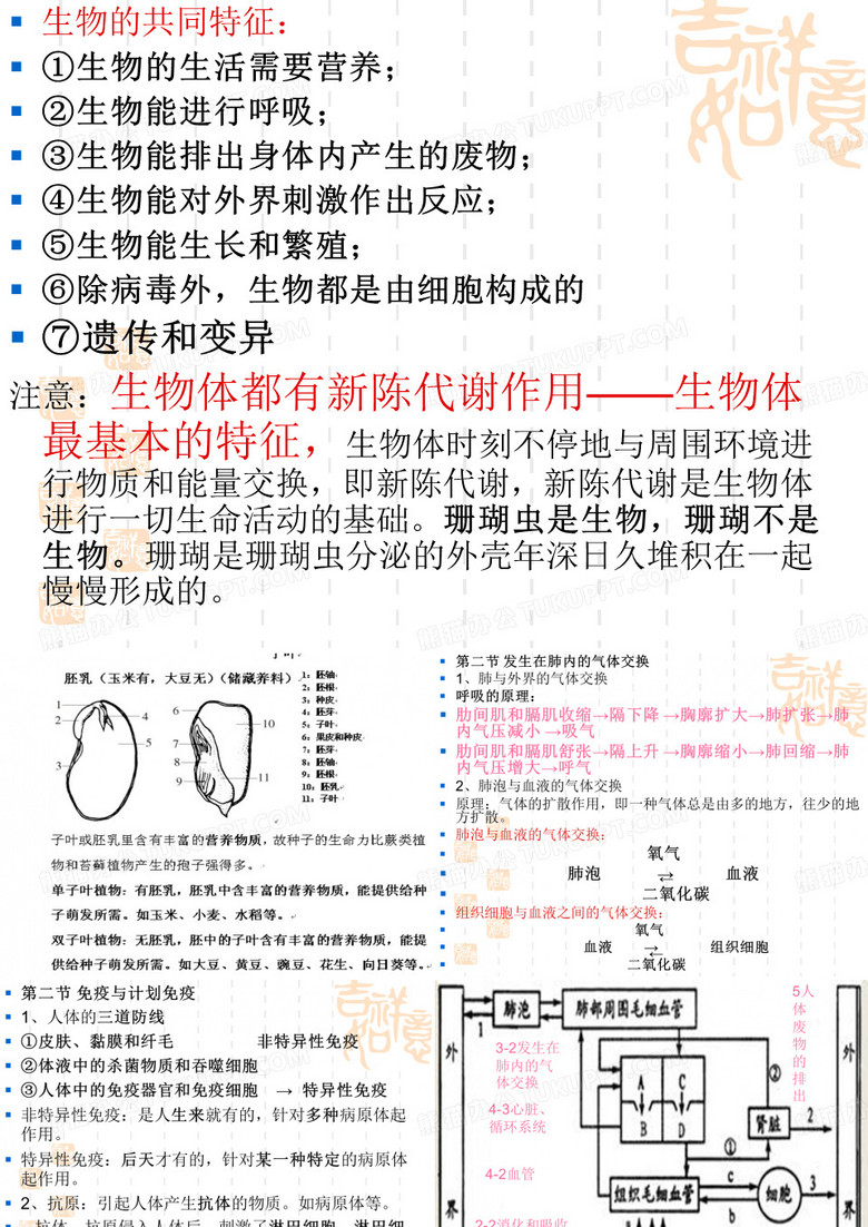 生物月考分析
