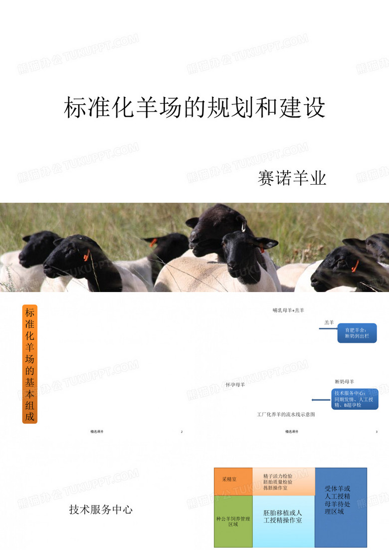 标准化羊场的规划与建设