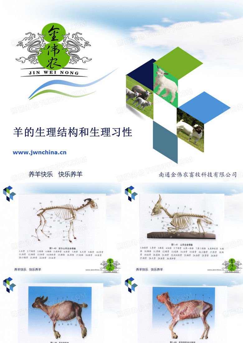 羊的生理结构和生理习性