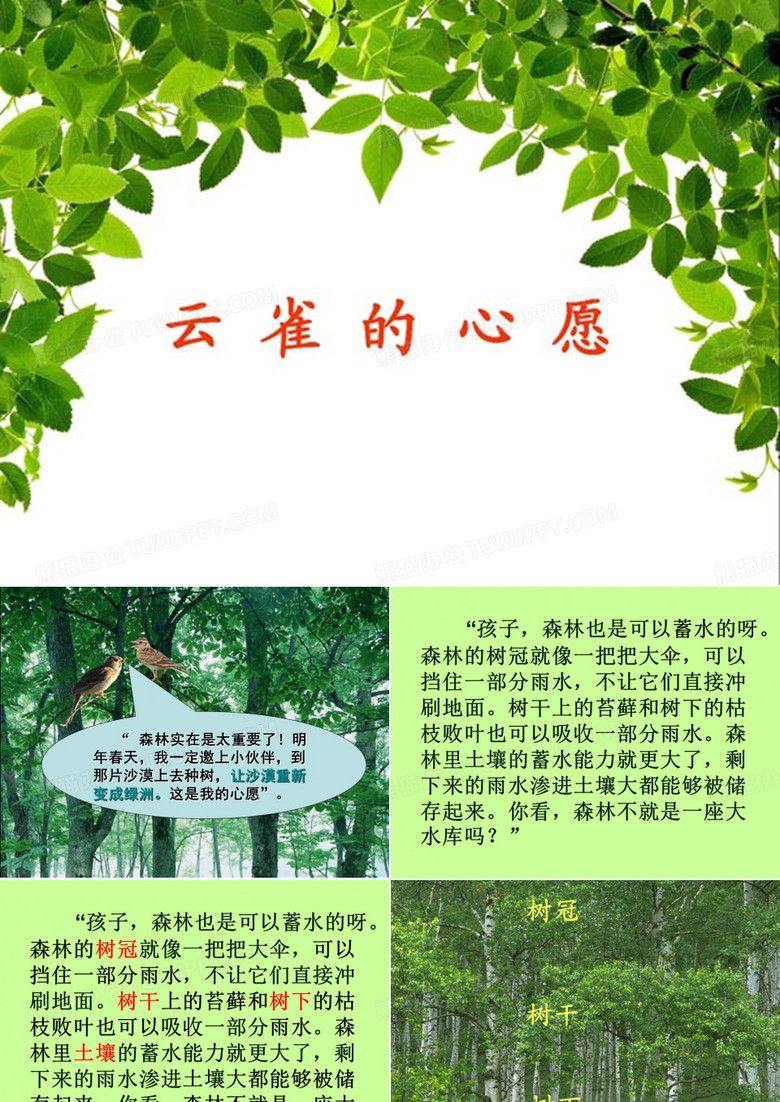 课件云雀的心愿