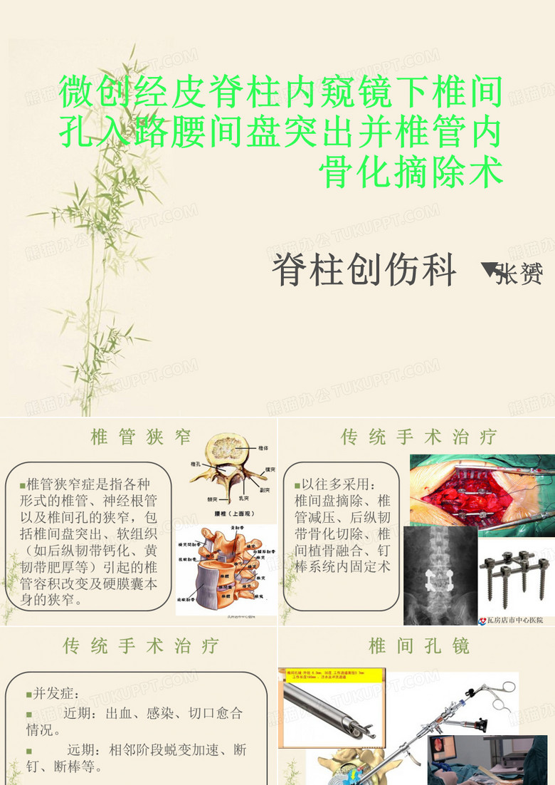 椎间孔镜技术PPT