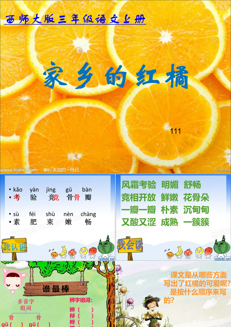 家乡的红橘