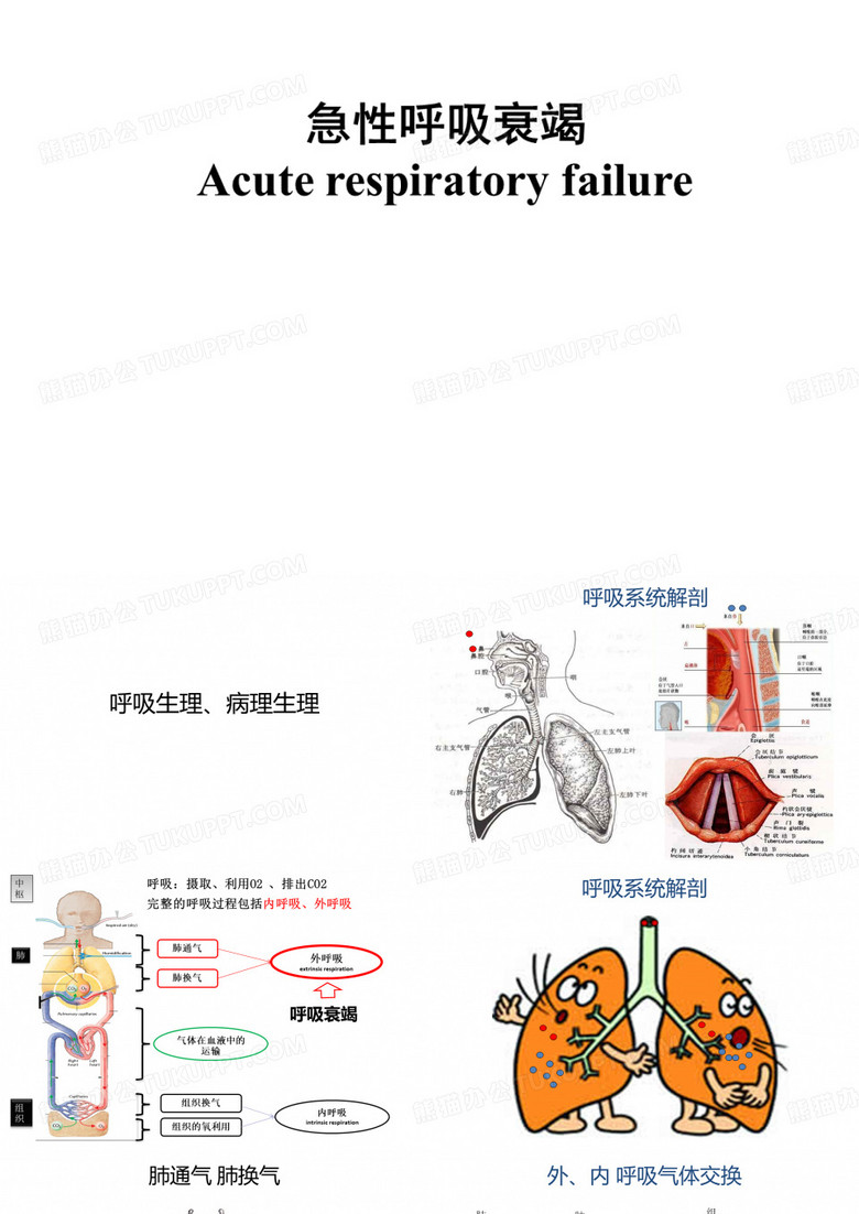 急性呼吸衰竭