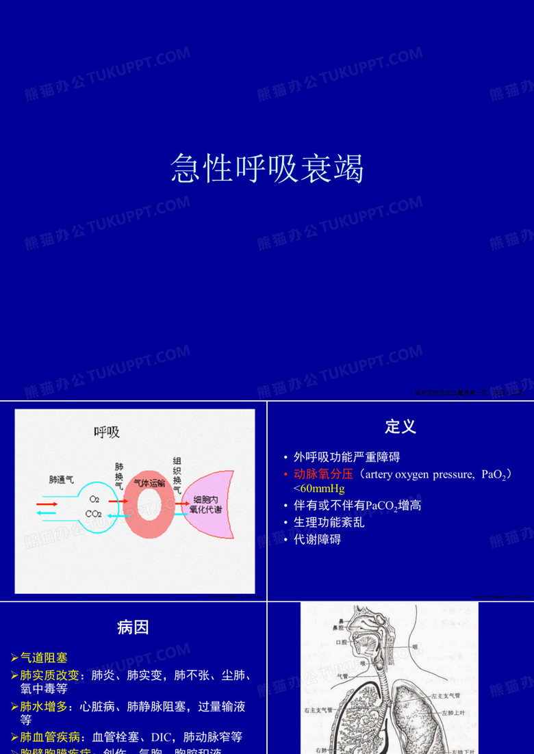 急性呼吸衰竭