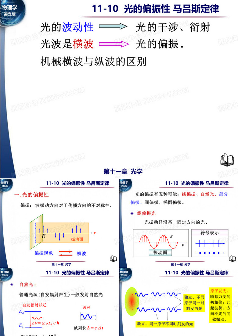11 光的偏振