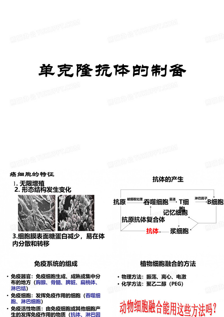 单克隆抗体的制备