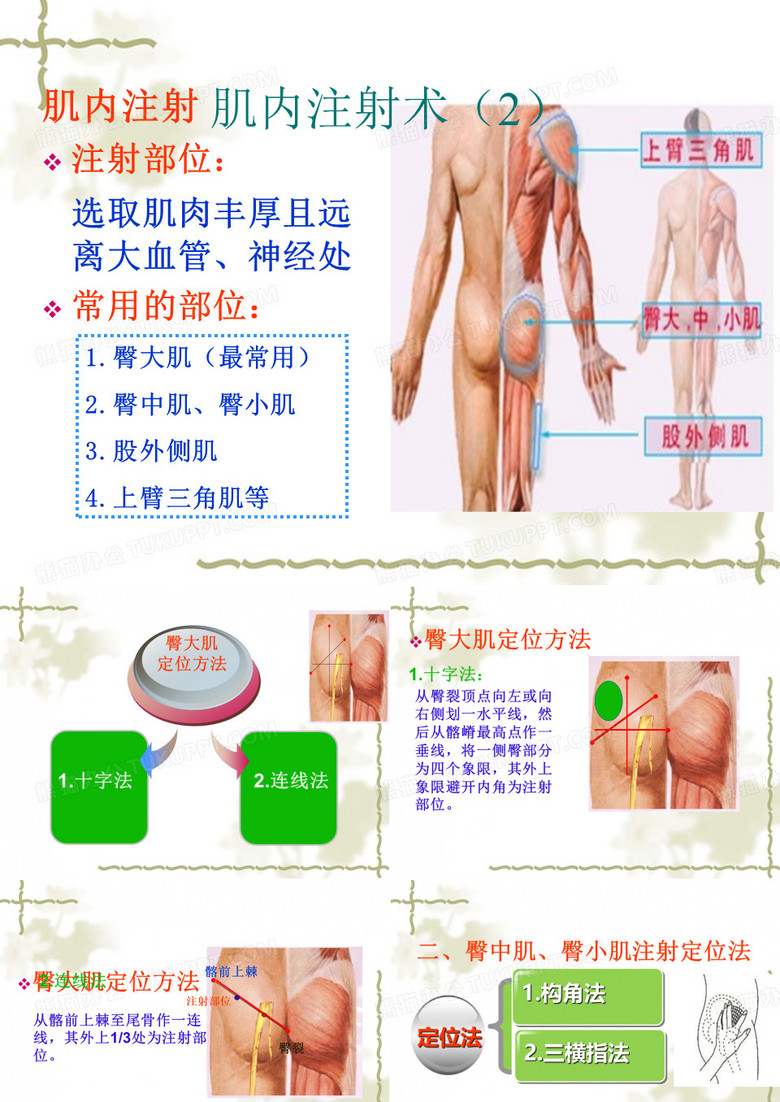 肌内注射常用注射部位