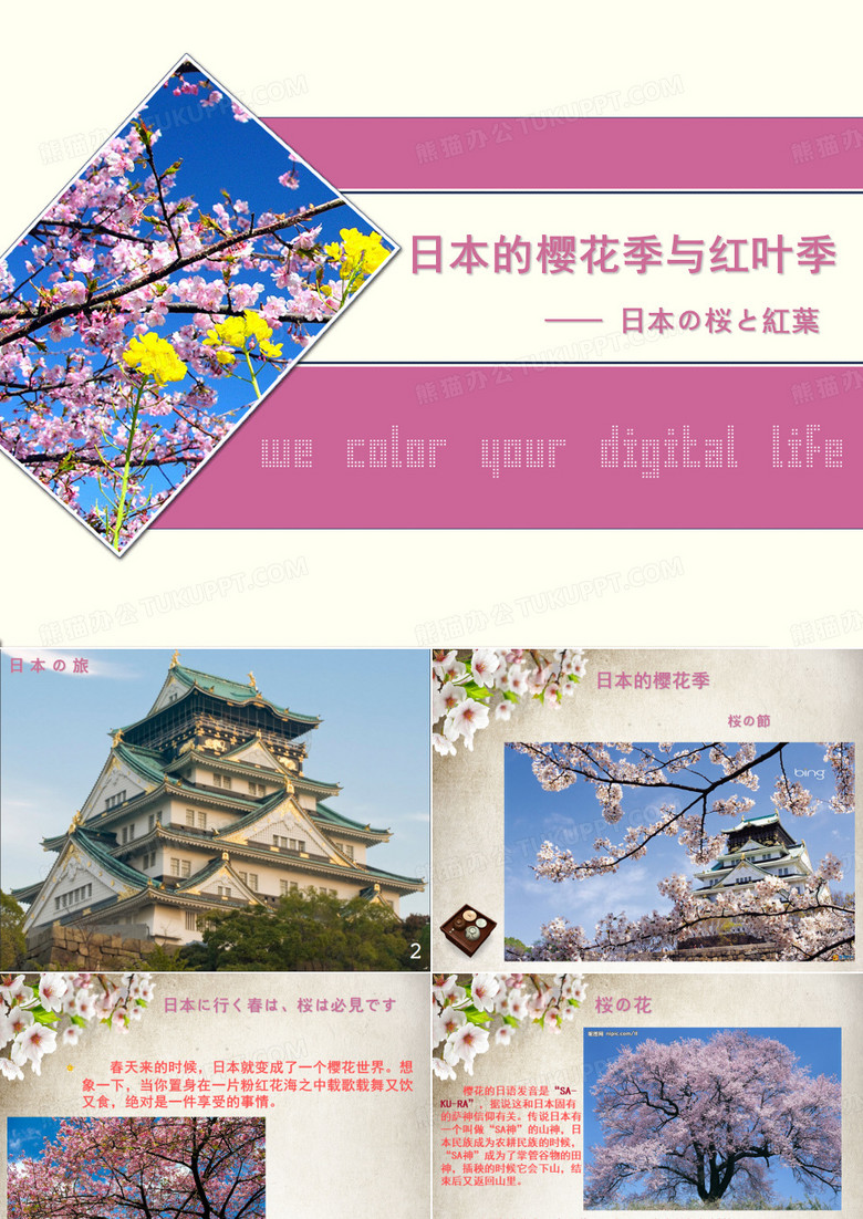 樱花与红叶
